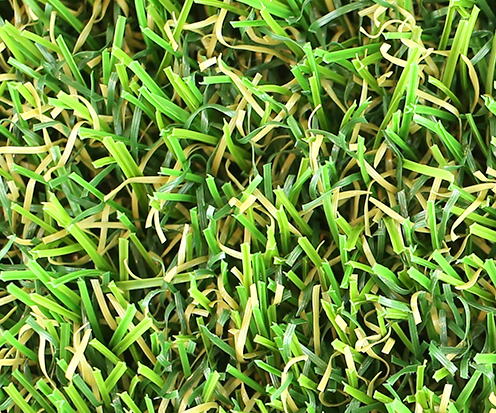 メモリーターフ