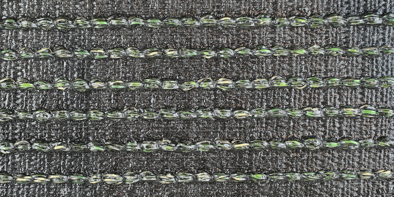 メモリーターフ
