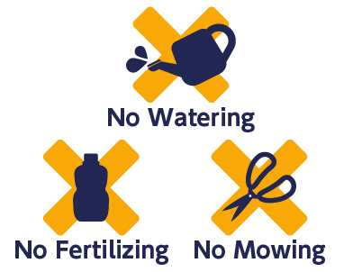 maintenance-free