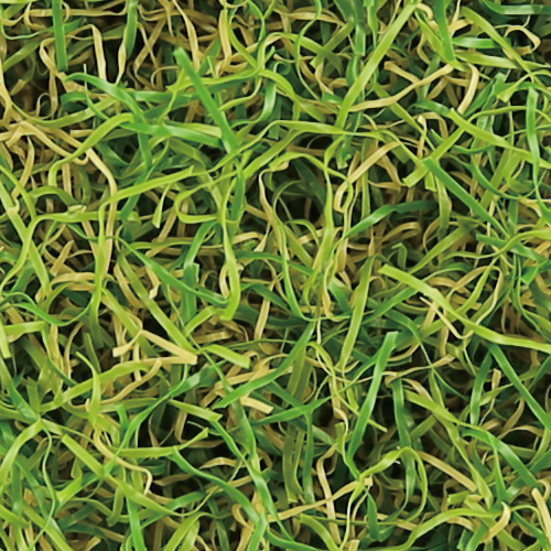 メモリーターフ for Garden